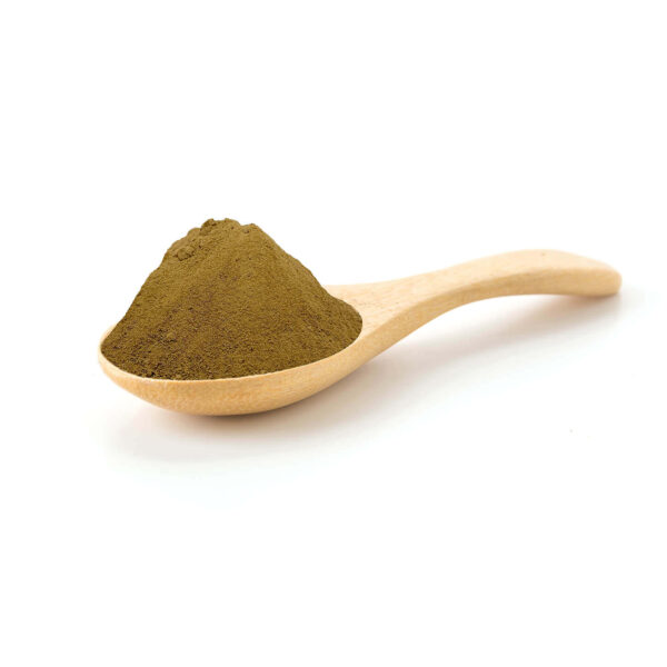 GARCINIA DE CAMBOGIA - Imagen 2
